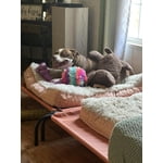 Image 3 of customer photos