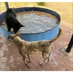 Image 2 of customer photos