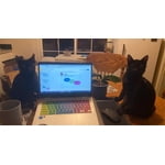 Image 7 of customer photos