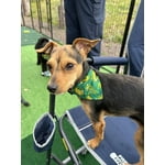 Image 1 of customer photos