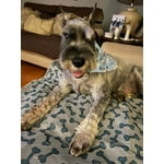 Image 6 of customer photos