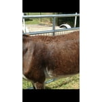 Image 2 of customer photos