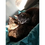 Image 3 of customer photos