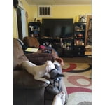 Image 1 of customer photos