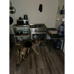 Image 1 of customer photos