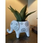 Image 7 of customer photos