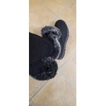 Image 3 of customer photos