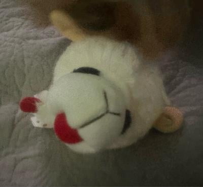Multipet Lamb Chop Knobby Noggins Pet Toy 5-inch Soft Plush with