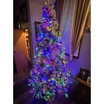 Image 6 of customer photos