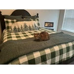 Image 1 of customer photos