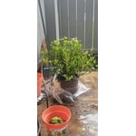 Image 3 of customer photos