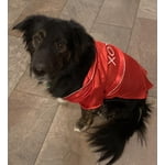 Image 7 of customer photos