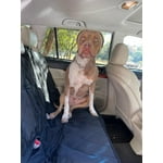 Image 6 of customer photos