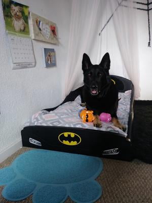 kolcraft pediatric 800 recall