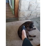 Image 1 of customer photos