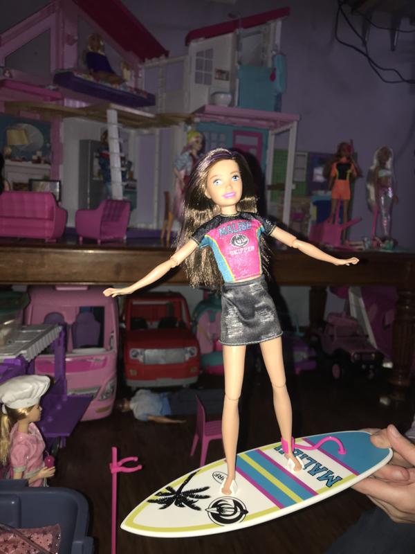 Barbie Dreamhouse Adventures Skipper Surf Doll Walmart