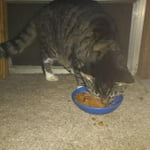 Image 2 of customer photos