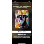 Image 6 of customer photos