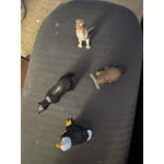 Image 2 of customer photos