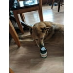 Image 3 of customer photos