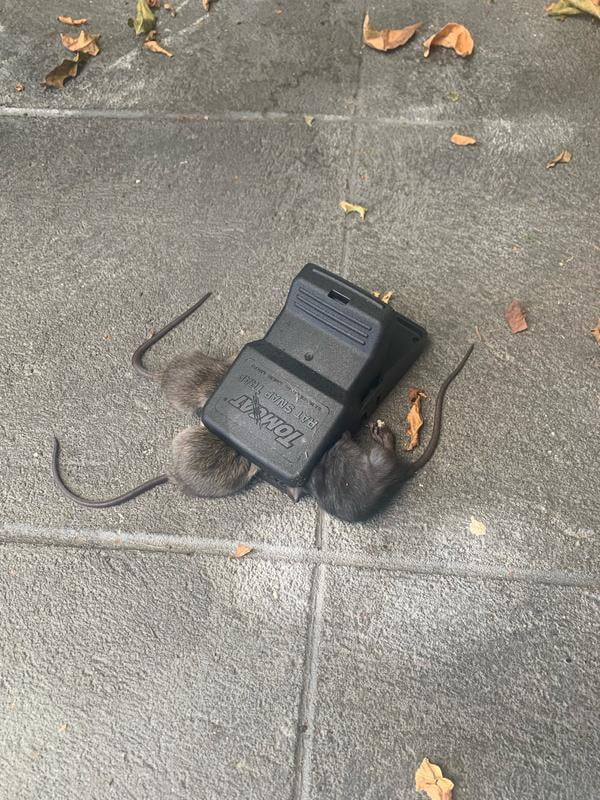 ubuy SVERIGE