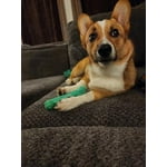 Image 4 of customer photos