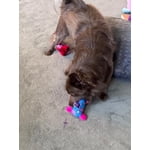 Image 4 of customer photos