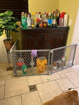 carlson 2 in 1 plastic gate and pet pen