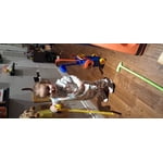 Image 2 of customer photos