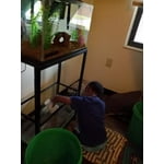 Image 2 of customer photos