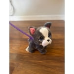 Image 6 of customer photos