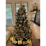 Image 5 of customer photos