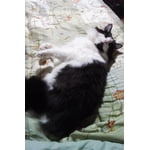 Image 5 of customer photos