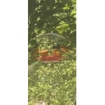 Image 7 of customer photos