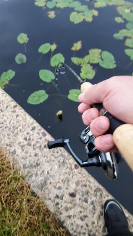 shakespeare micro series spinning combo