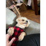 Image 6 of customer photos