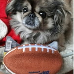 Image 3 of customer photos