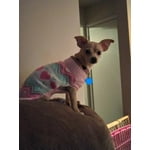 Image 5 of customer photos