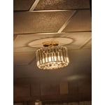 Image 5 of customer photos