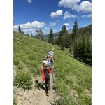 Image 5 of customer photos