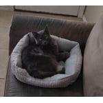 Image 6 of customer photos