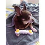 Image 6 of customer photos