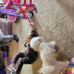 Image 3 of customer photos