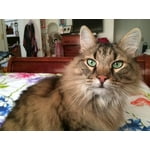 Image 5 of customer photos