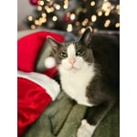 Image 3 of customer photos