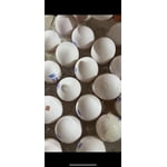 Imagen 2 de las fotos del cliente