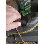 Image 6 of customer photos