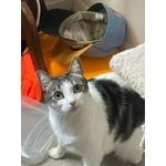 Image 3 of customer photos