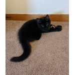 Image 2 of customer photos