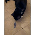 Image 3 of customer photos